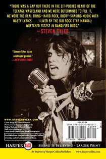 Does The Noise in My Head Bother You? LP achterzijde