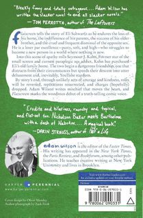 Flatscreen achterzijde