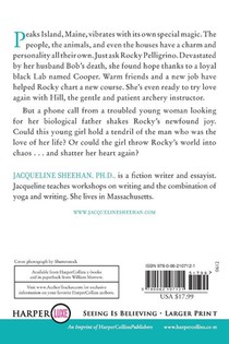 Picture This achterzijde