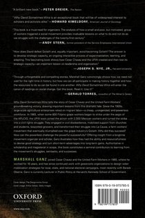 Why David Sometimes Wins achterzijde