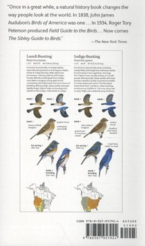 Sibley Field Guide to Birds of Western North America achterzijde