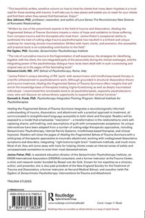 Healing the Fragmented Selves of Trauma Survivors achterzijde