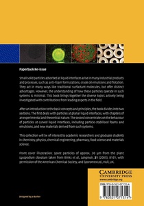 Colloidal Particles at Liquid Interfaces achterzijde