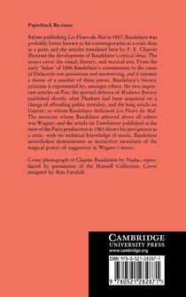 Baudelaire: Selected Writings on Art and Artists achterzijde