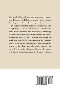 Morphology achterzijde