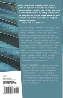 Dark Wild Realm achterzijde