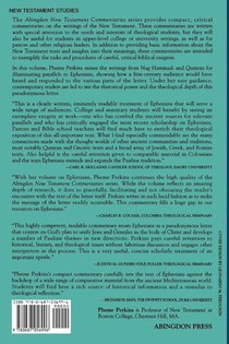 Abingdon New Testament Commentaries achterzijde