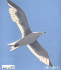 Alex Katz achterzijde