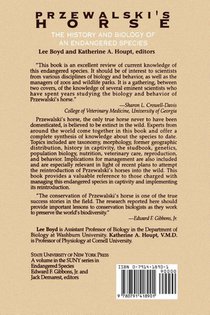 Przewalski's Horse achterzijde