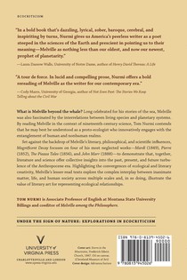 Magnificent Decay achterzijde