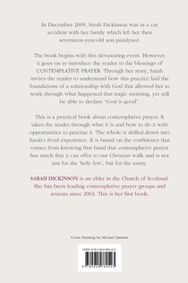 While Swans Fly and Herons Wait achterzijde