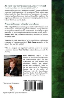 Summer with the Leprechauns achterzijde