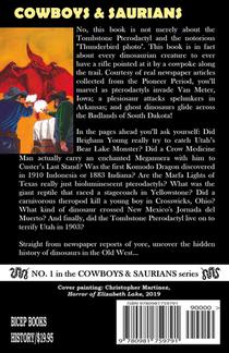 Cowboys & Saurians achterzijde