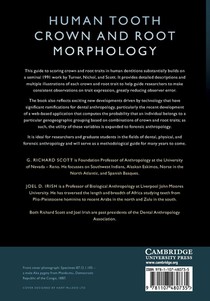 Human Tooth Crown and Root Morphology achterzijde