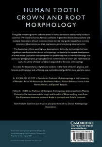 Human Tooth Crown and Root Morphology achterzijde