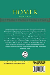 Homer achterzijde
