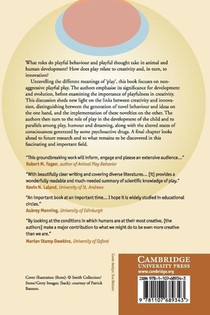 Play, Playfulness, Creativity and Innovation achterzijde