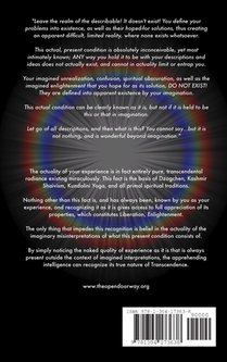 Dirty Enlightenment achterzijde