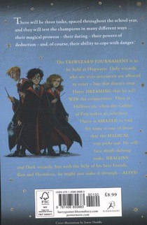 Harry Potter and the Goblet of Fire achterzijde