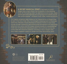 Harry Potter – Diagon Alley achterzijde