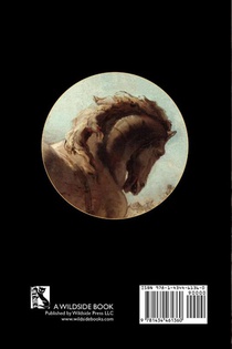 Homer's Iliad achterzijde