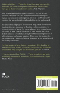 The Angel Esmeralda: Nine Stories achterzijde