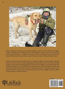 Finley's Adventures achterzijde