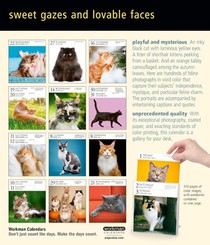 Cat Page-A-Day® Gallery Calendar 2027 achterkant