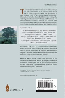 Dharma Rain achterzijde