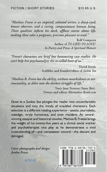 Down to a Sunless Sea achterzijde