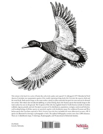 The North American Perching and Dabbling Ducks achterzijde