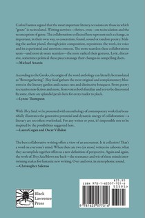 They Said achterzijde