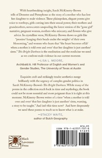 This Bright Darkness achterzijde