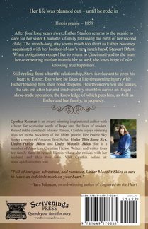 Under Moonlit Skies achterzijde