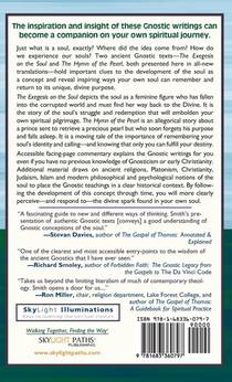 Gnostic Writings on the Soul achterzijde