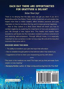 How to Stay Upbeat in a Beat Down World achterzijde