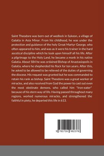 The Life of St Theodore of Sykeon achterzijde