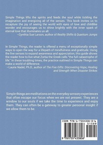 Simple Things achterzijde