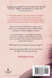 A Journey achterzijde