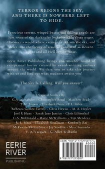 It Calls From the Sky achterzijde