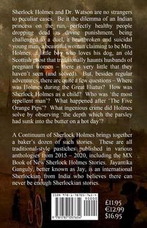 A Continuum Of Sherlock Holmes Stories achterzijde