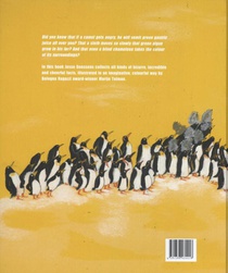 Jumping Penguins & achterzijde
