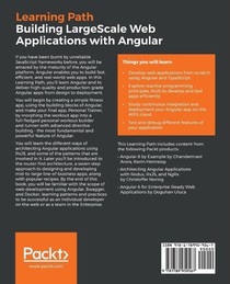 Building Large-Scale Web Applications with Angular achterzijde
