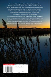 Shooter Marble achterzijde