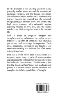 The Universe Is Just One Big Question Mark achterzijde
