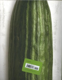 Why Shrink-Wrap a Cucumber? achterzijde