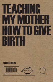 Teaching My Mother How to Give Birth achterzijde