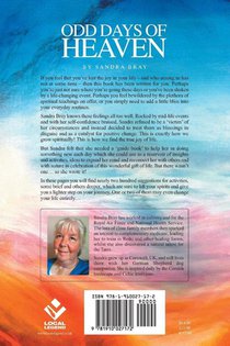 Odd Days of Heaven achterzijde