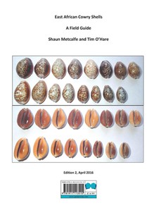 East African Cowry Shells achterzijde