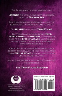 The Twin Flame Reunion achterzijde